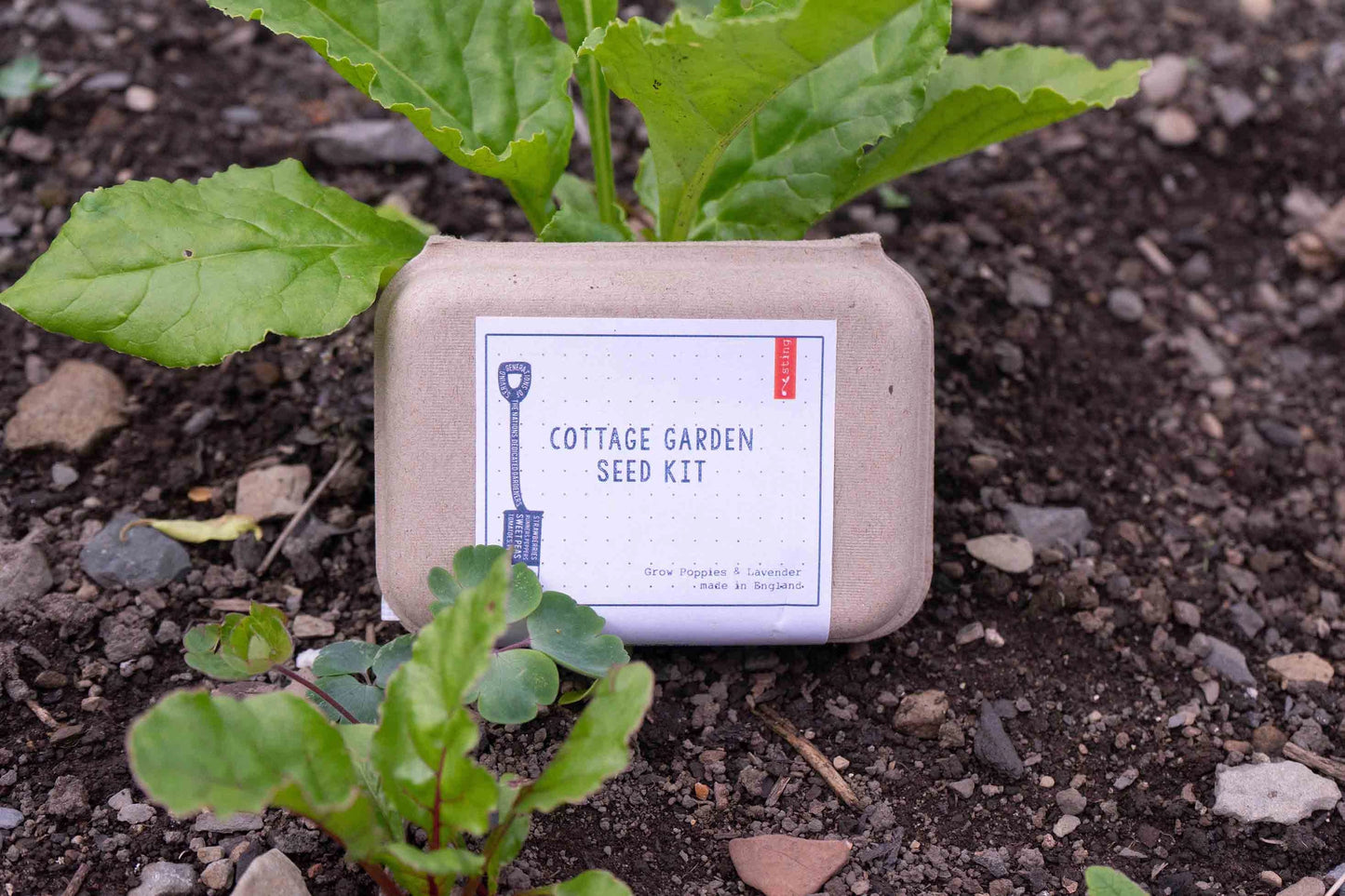 Cottage Garden Seed Kit