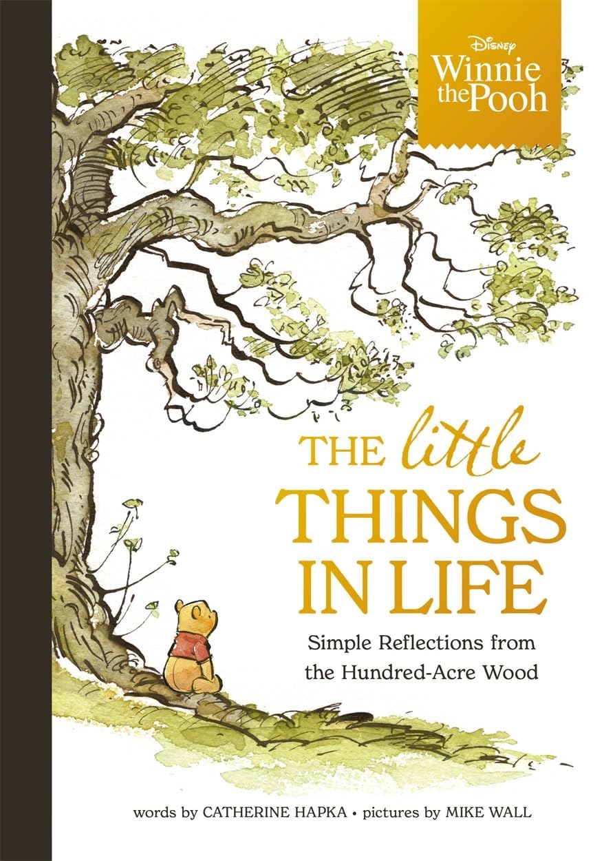 Winnie the Pooh : Little Things in Life