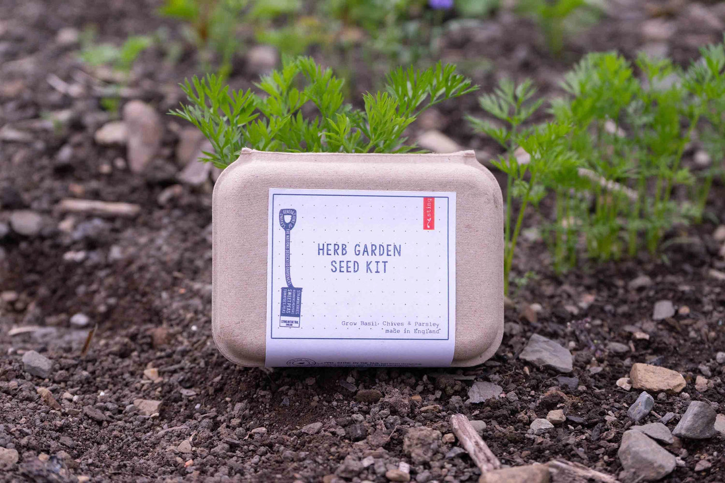Herb Seed Kit