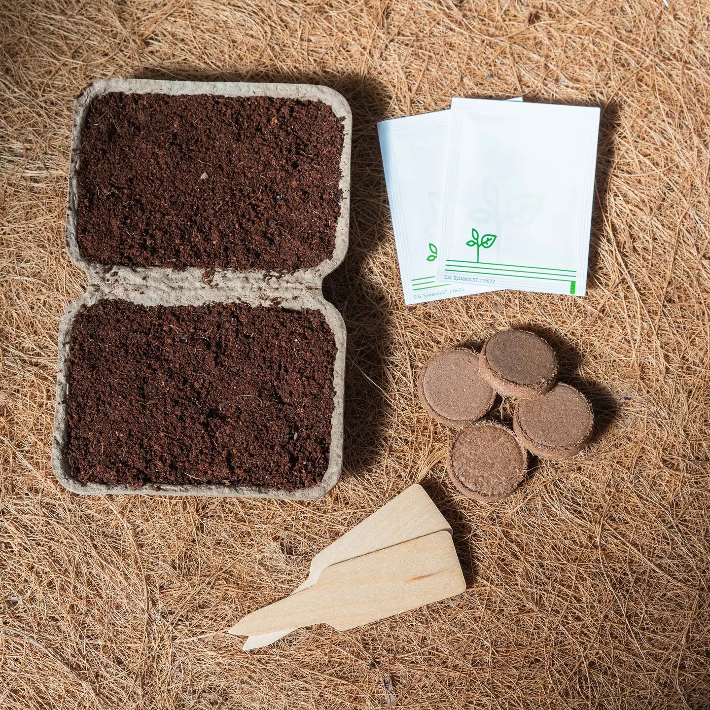 Herb Seed Kit